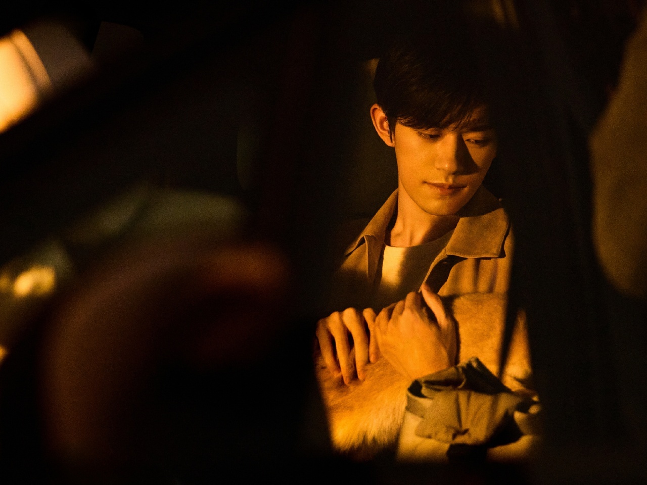 易烊千玺[超话]易烊千玺分享沐浴秋日的小猫易烊千玺分享小猫plog ​​​易烊千