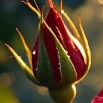 看不见的伤痕最疼，流不出的眼泪最委屈。心酸，一个人慢慢品尝就好；难过，一个人承受