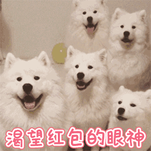 2026第一个月就要过完了感觉这个月过得真快哈！话说，兄弟们2月份你们准备咋过？