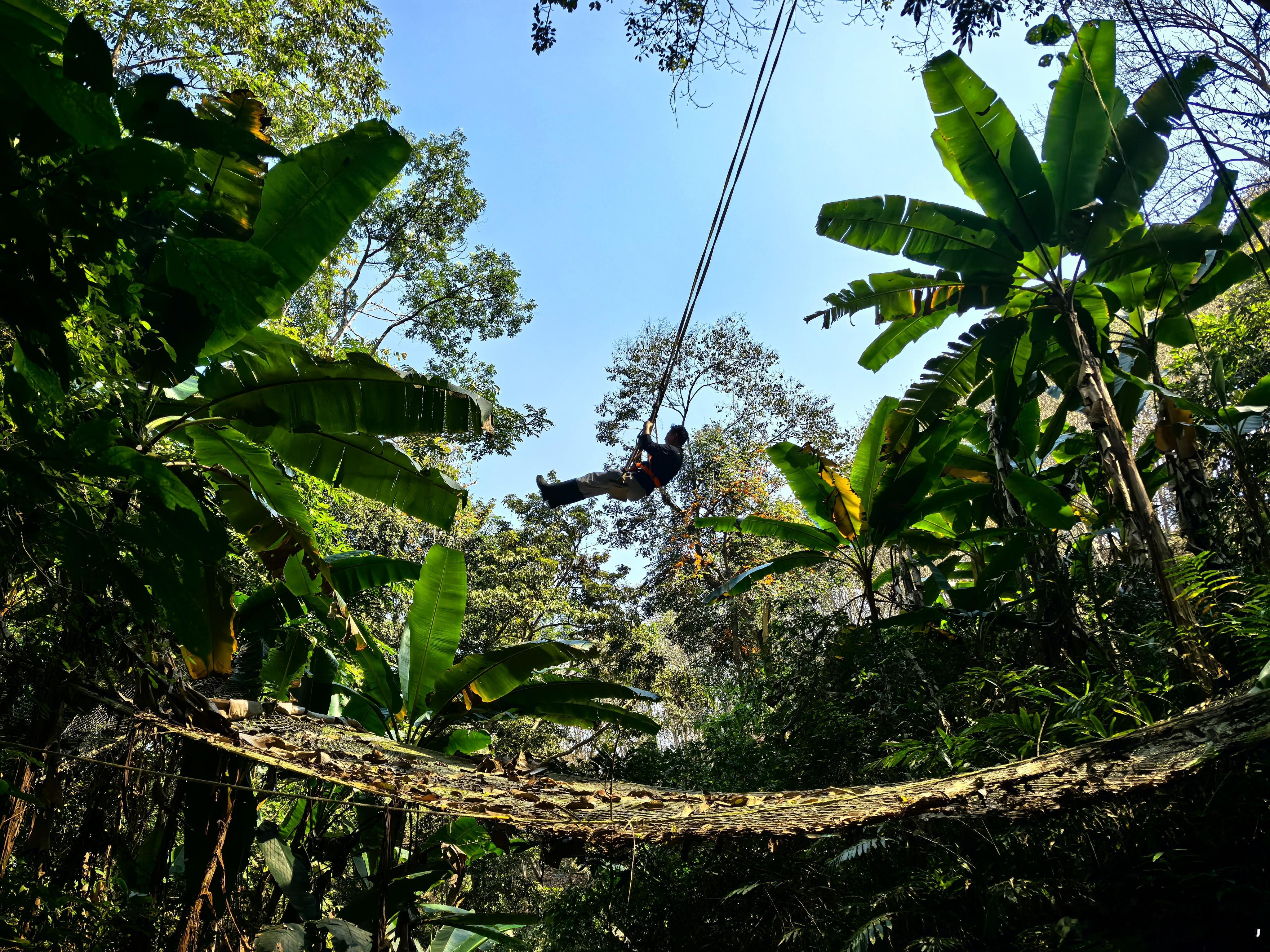 陈叔宝财经 旅行中成长。这次去云南过春节，一路自驾九天，我一改过去无微不至的照顾