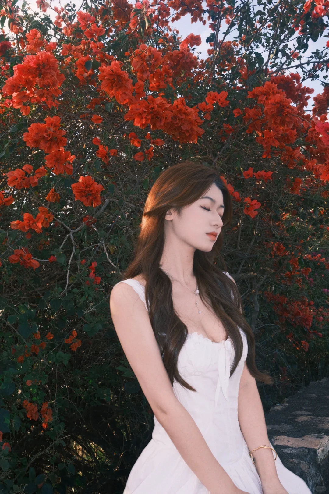 🇦🇺布里斯班｜南半球又步入了春天