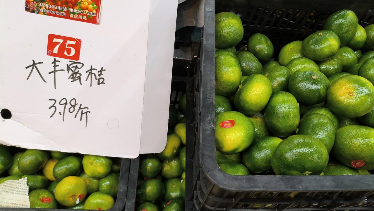 现在宁波本地市场上的蜜橘基本都是江西大丰蜜橘和云南蜜橘。
总体来说，大丰蜜桔好像