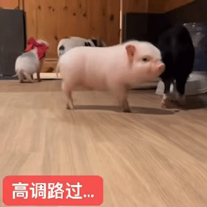 就在现在我醒了 