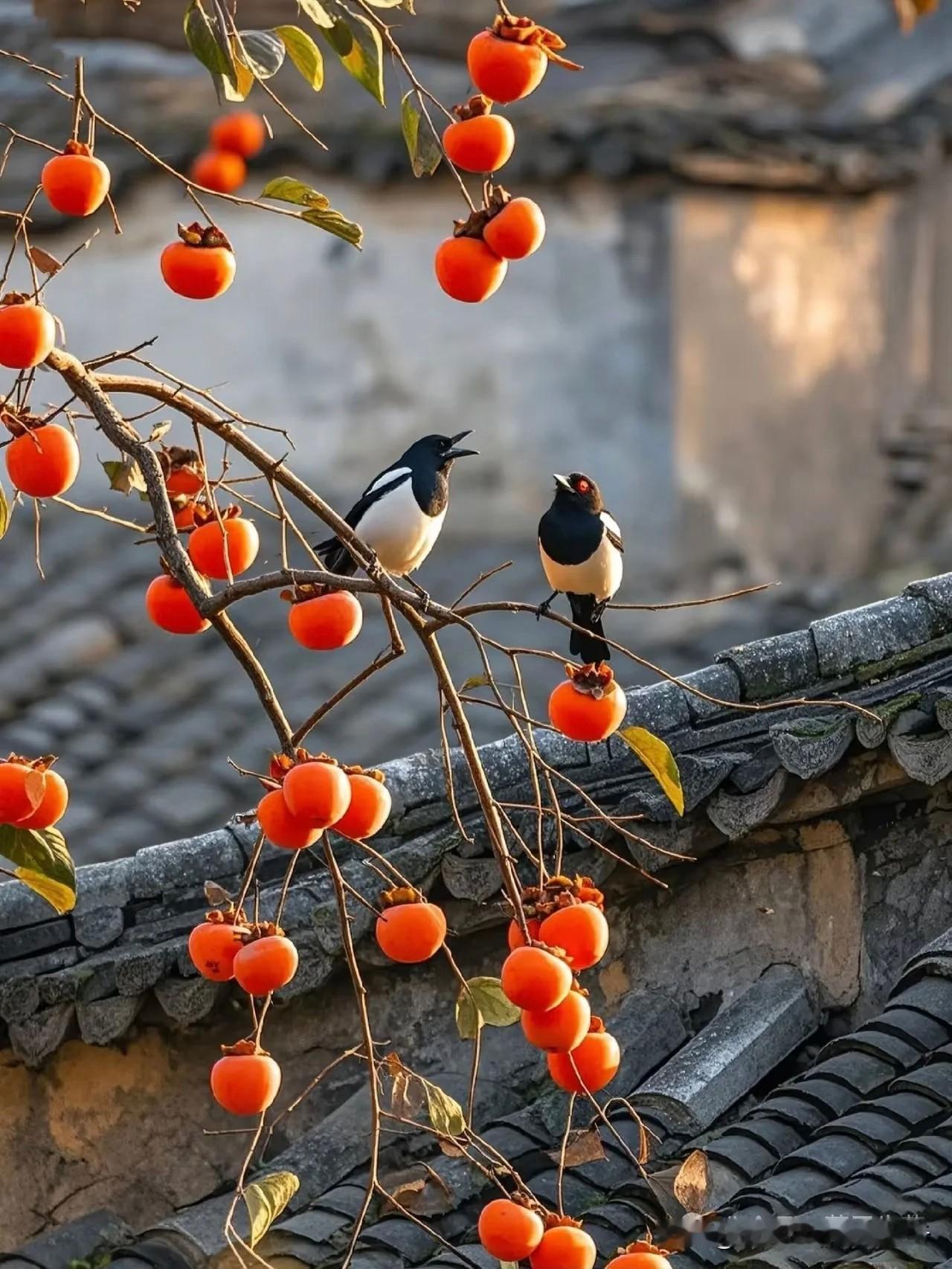 曾经的孩子长大了，曾经的中年人变老了[祈祷]