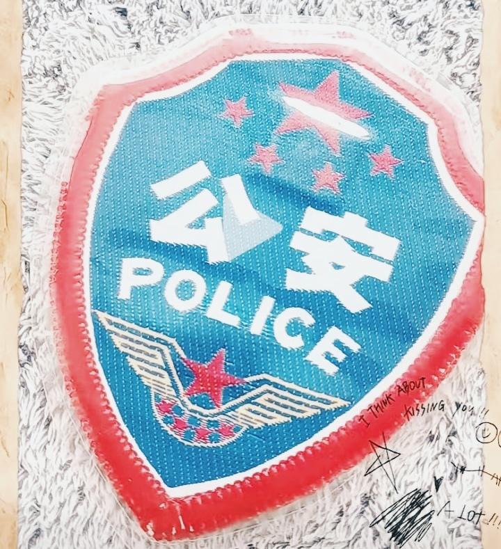 哪位老师知道，这是什么退役警察臂章？