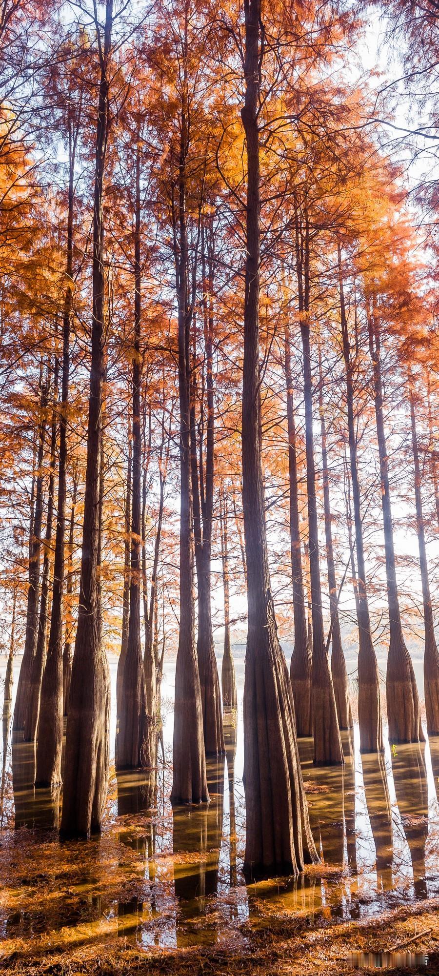 1. 开新年，启新程，岁岁长安宁
​
2. 开新年，迎美好，年年皆胜意
​
3.