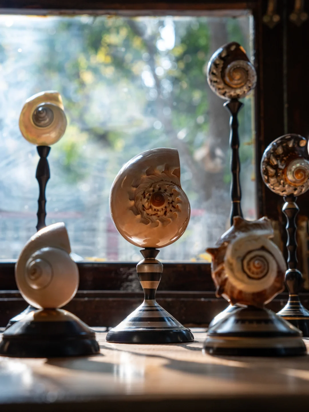 自然孤品 × 手工木旋｜不可复制的艺术