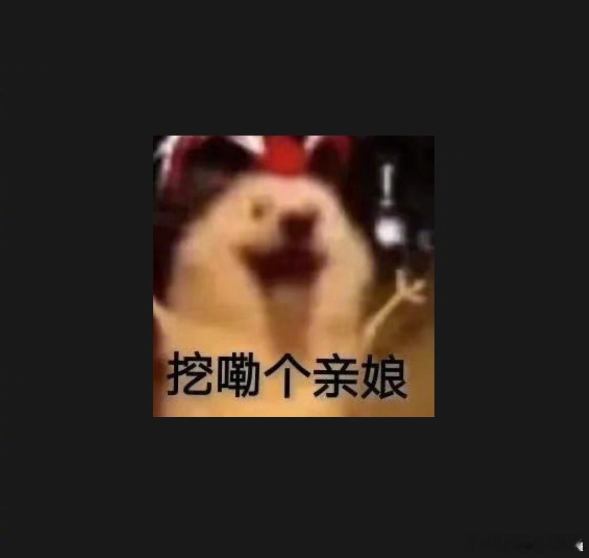 窦靖童 挖嘞个亲娘 王菲春晚舞台结束，窦靖童配表情包：“挖嘞个亲娘”。哈哈哈哈这