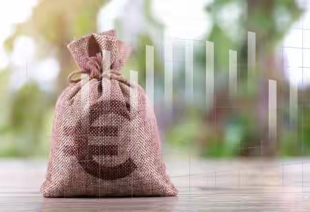 37亿惠农补贴“回家”了，但农民的口袋真的鼓了吗？

“钱回来了，地还在荒。” 