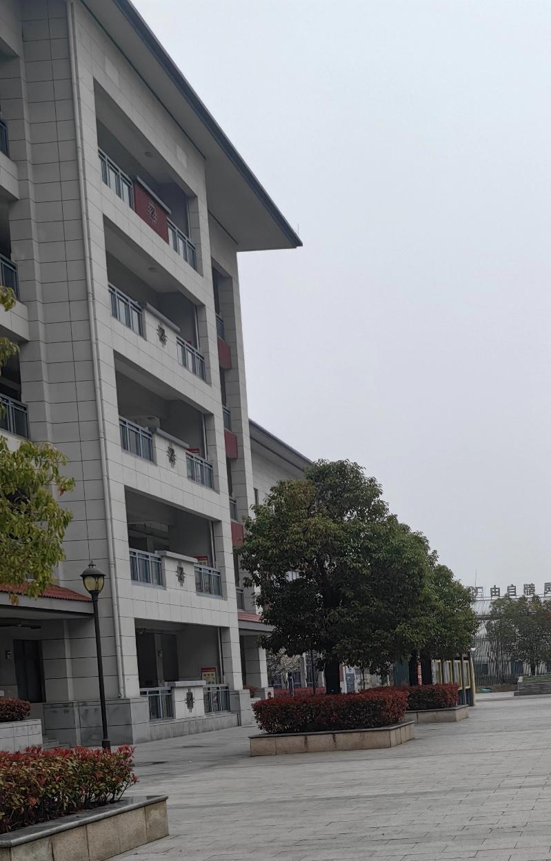 为什么那么多的人喜欢全红婵为国争光的运动员，当然喜欢，婵宝不装，更是惹人喜欢。希