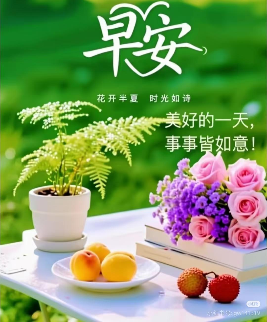 张籽萱在世联赛11场首发，总决赛名单上没她。
11场啊。不是年轻球员轮换，是实打
