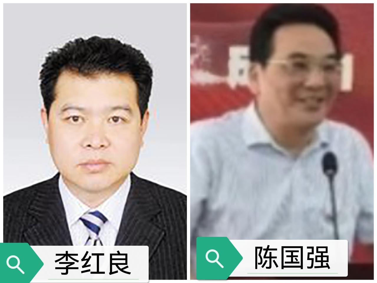 杭州市，拔出萝卜带出泥？

3月22日，杭州粮食发展集团公司原董事长陈国强官宣被