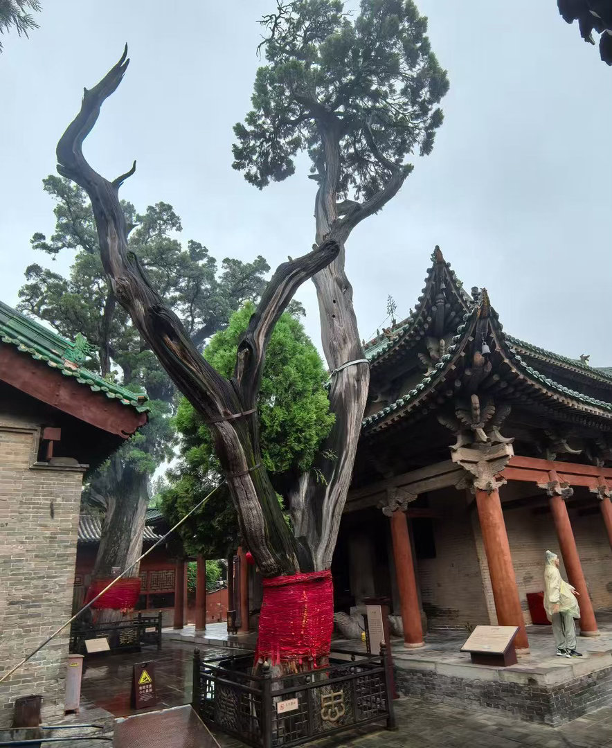 山西关公信俗两岸同心来山西赴一场千年风雅的诗意端午在解州关帝庙的苍松翠柏间，忠义