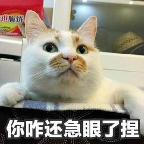 论怎么一句话惹到一整个专业
医学专业：可百度上说......
英语专业：这个都不