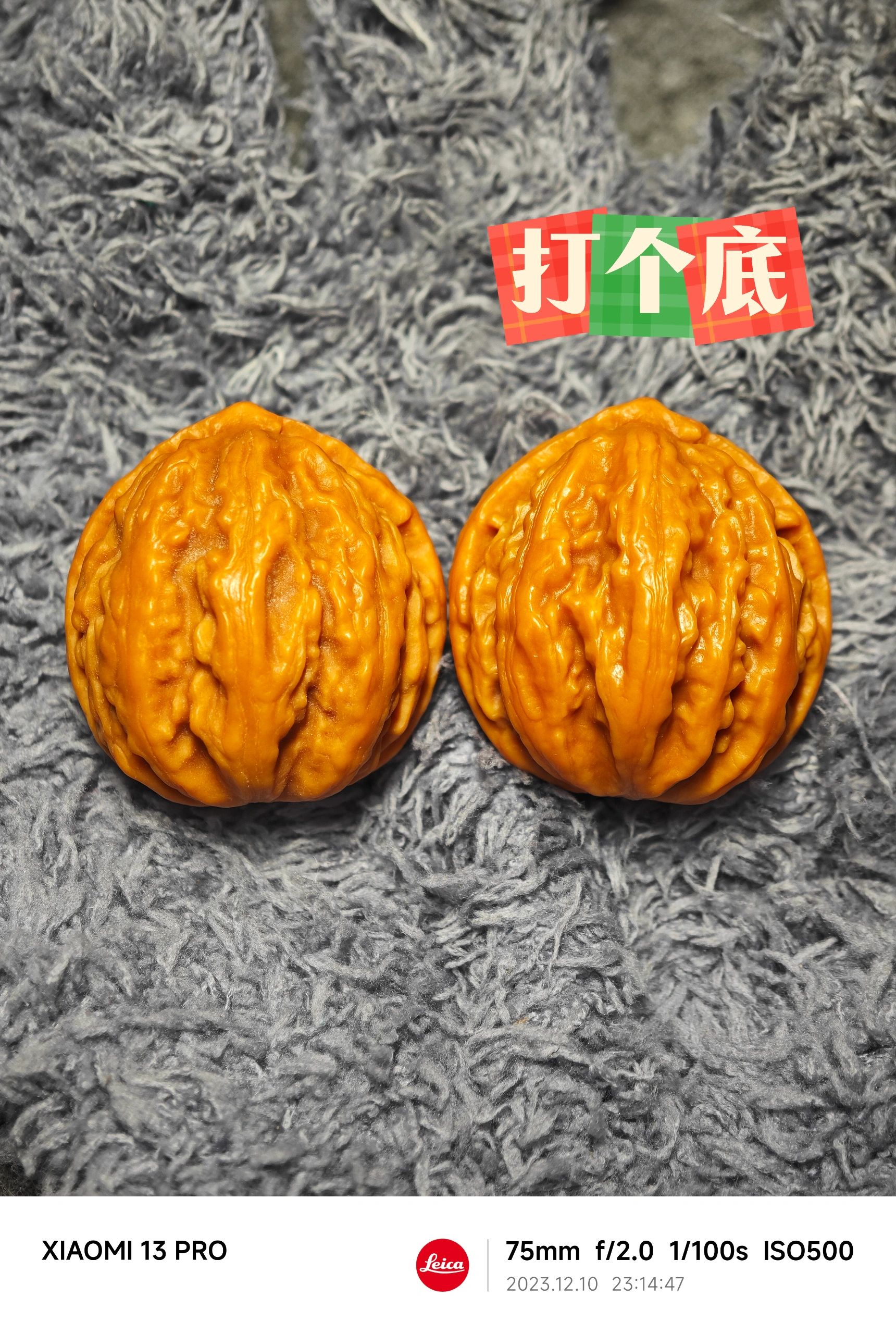 NO.326 小核桃打底