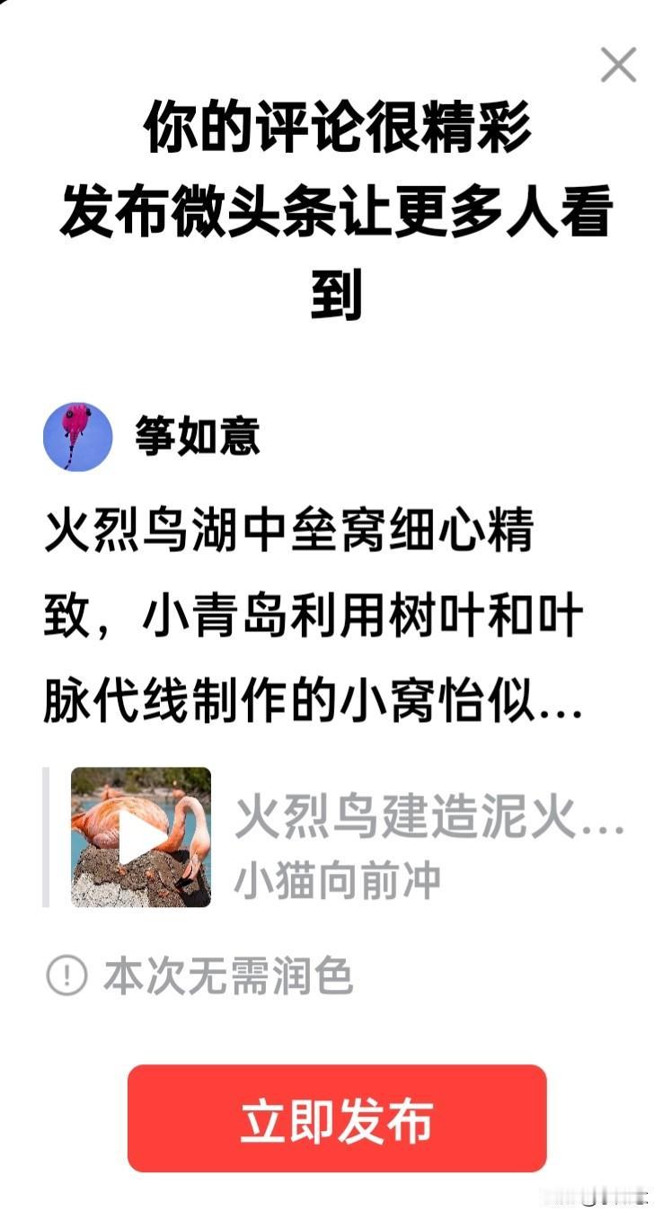 火烈鸟湖中垒窝细心精致，坚固耐用；小青鸟利用树叶和叶脉代线制作的小窝恰似裁缝师傅