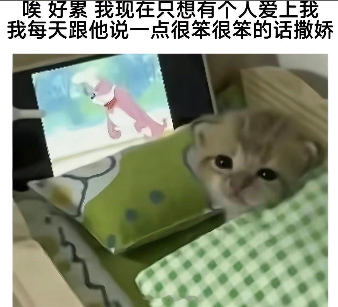 心情： 