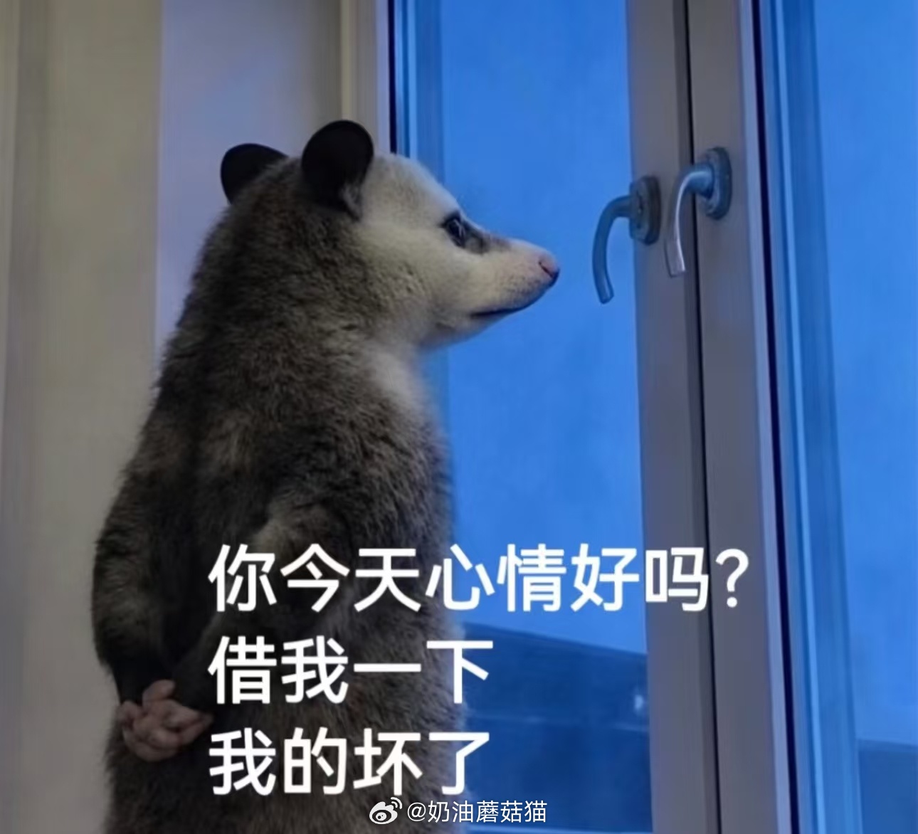我今天要早早早睡！现在已经关灯了！！！爱谁谁吧～[白眼][白眼][白眼][白眼]