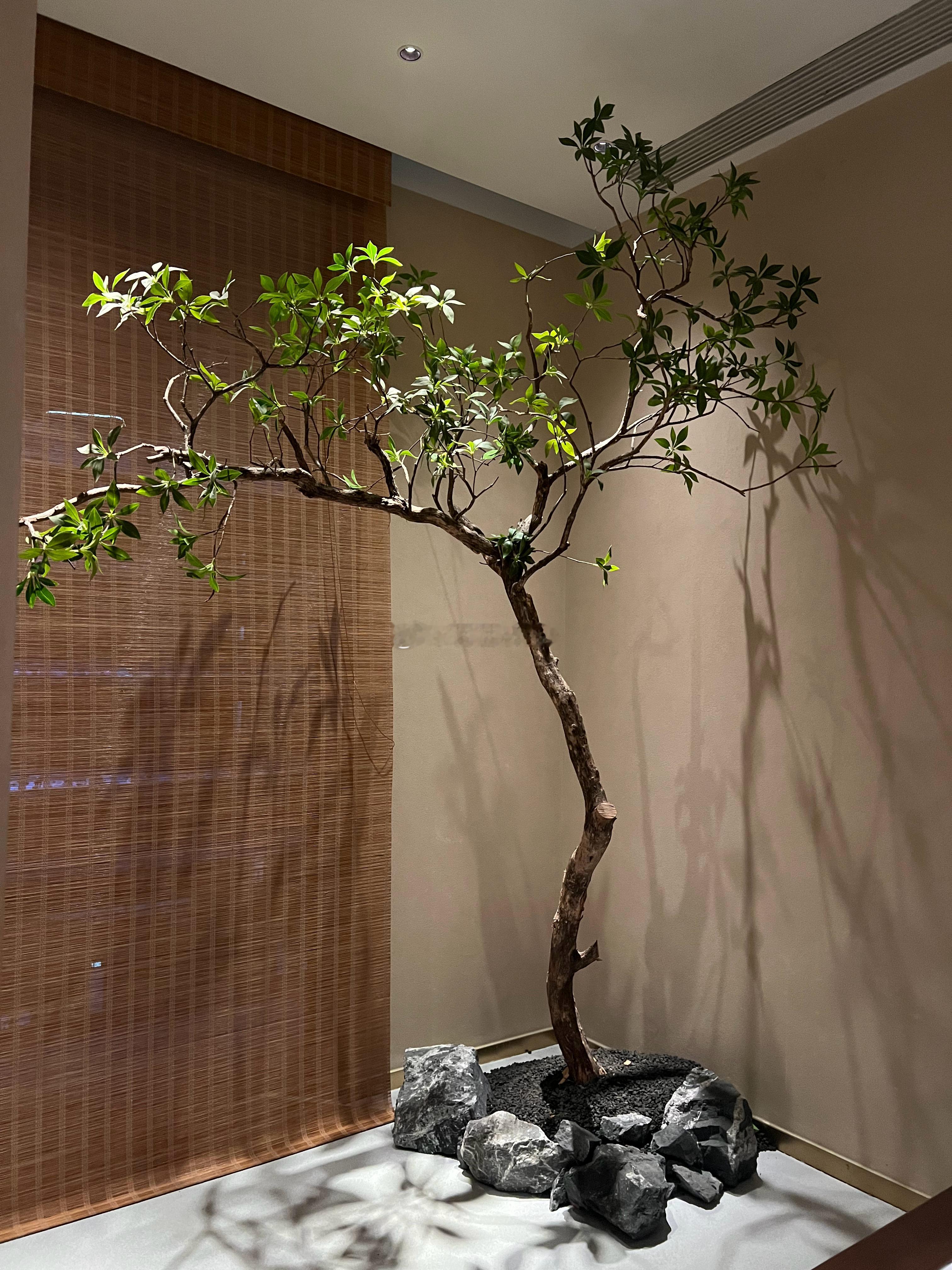 生日已经过了，照片忘记发了哈哈～ 