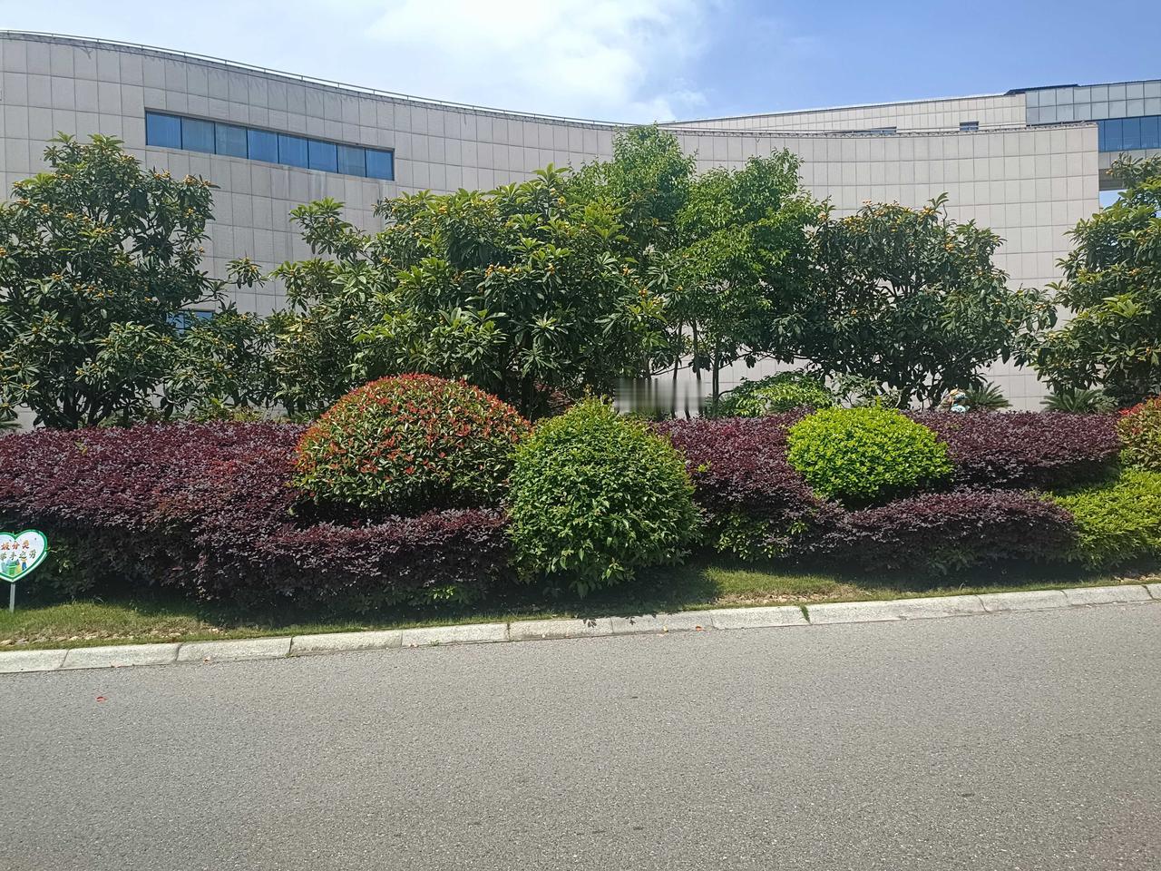 夏日生活打卡季