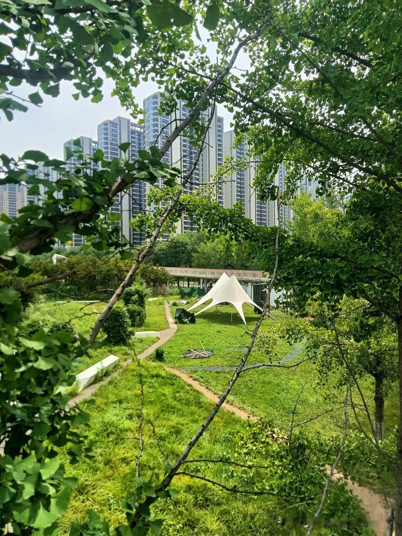 雨后的周一下午，我到雁南公园走了走。端午节三天假两天都是雨把人搅和的哪也沒去成！
