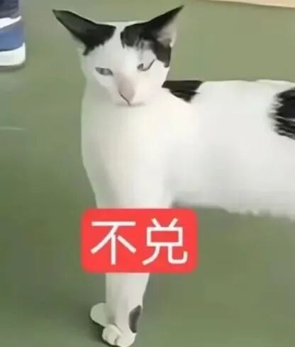 看看大家的假期生活碎片 ​​​