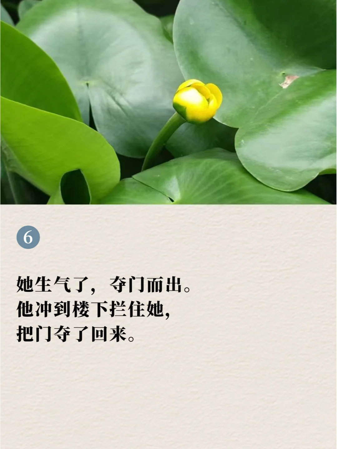 🌈超搞笑的文案，治愈你的不开心！
