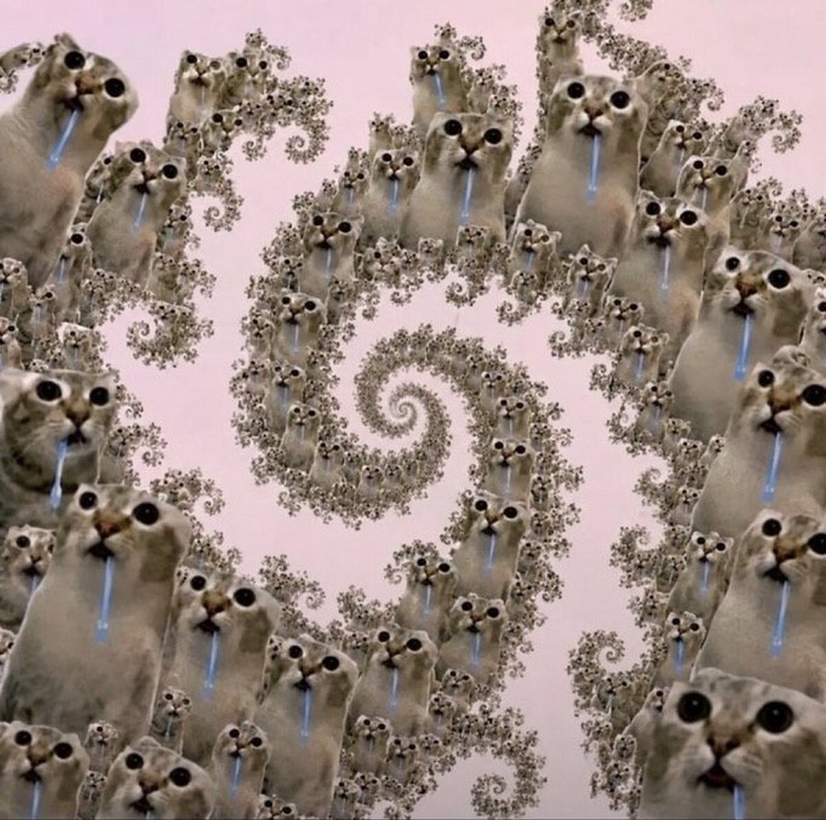🌀 