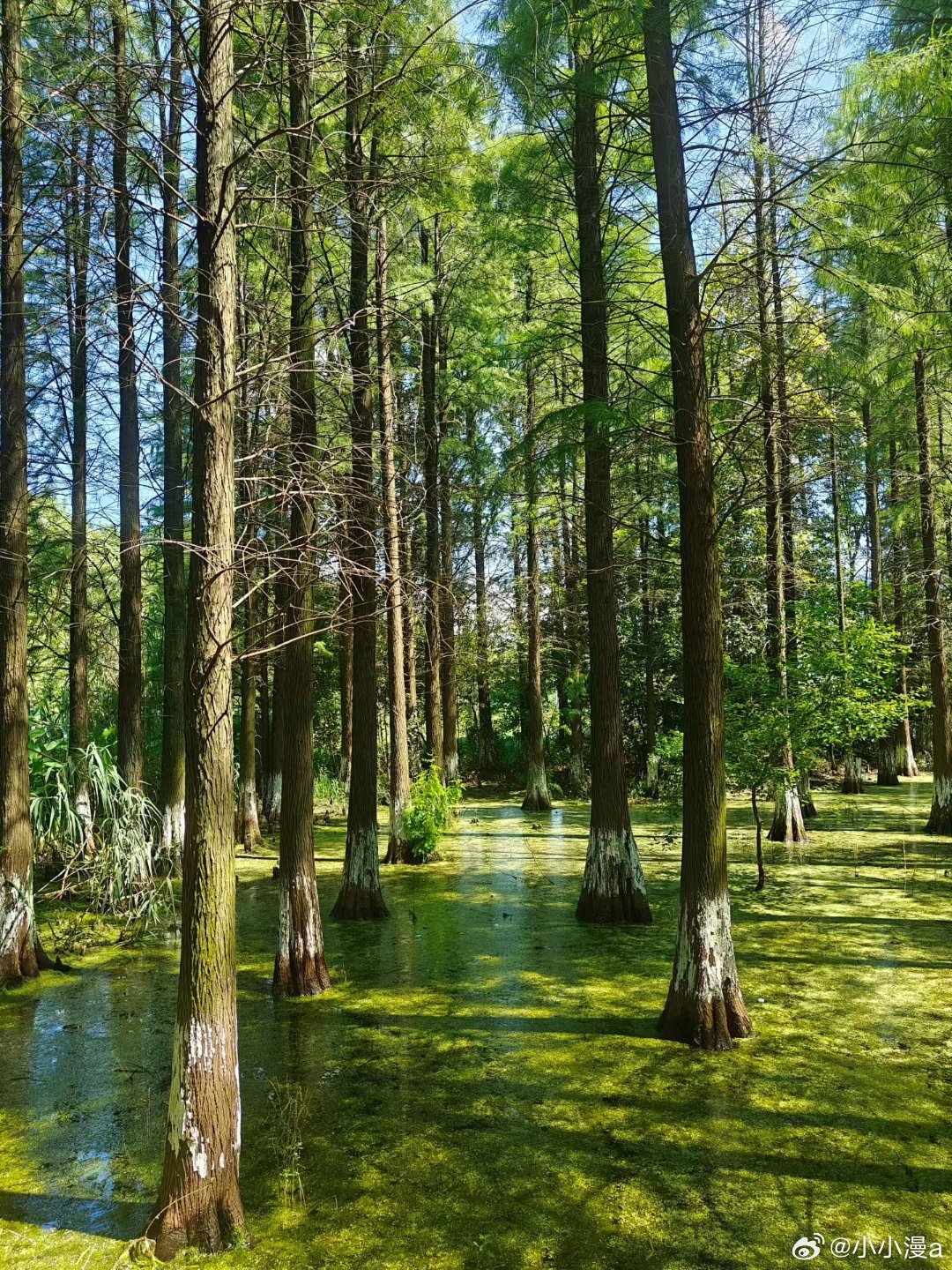 生命的意义在于付出，在于给予，而不是索取。——巴金 