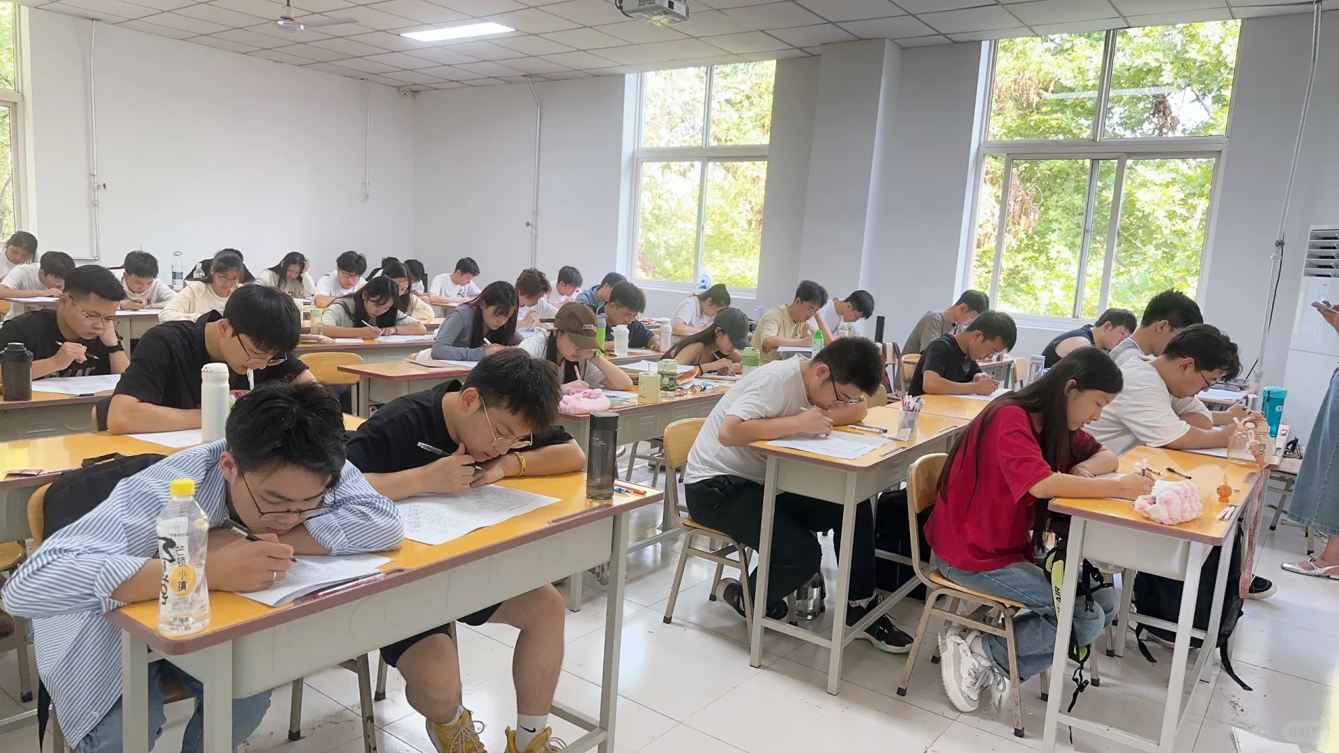 为什么大家喜欢推荐我们