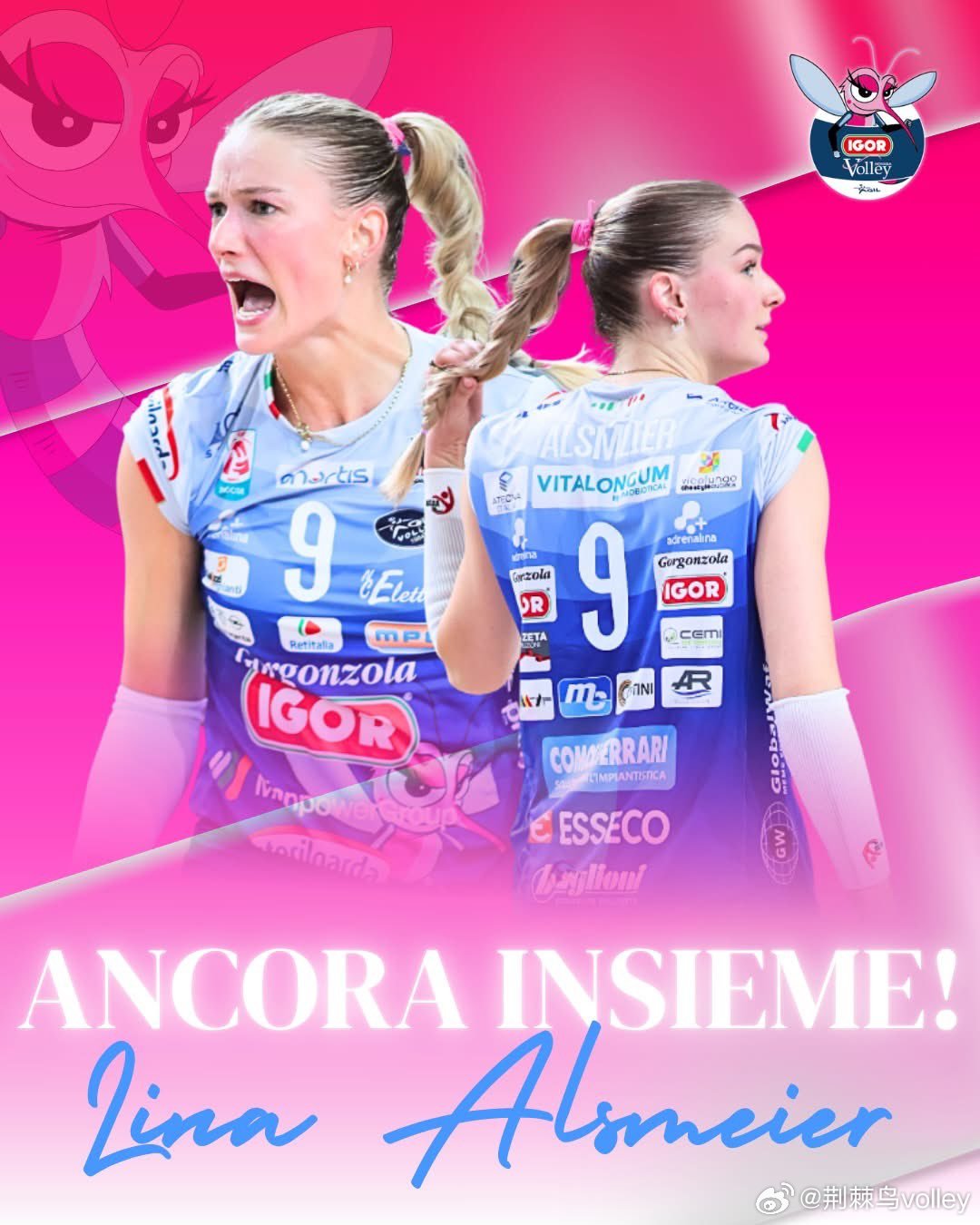 诺瓦拉官宣同25岁的德国主攻阿尔斯麦尔续约！女排 意大利女排联赛 排球 荆棘鸟v