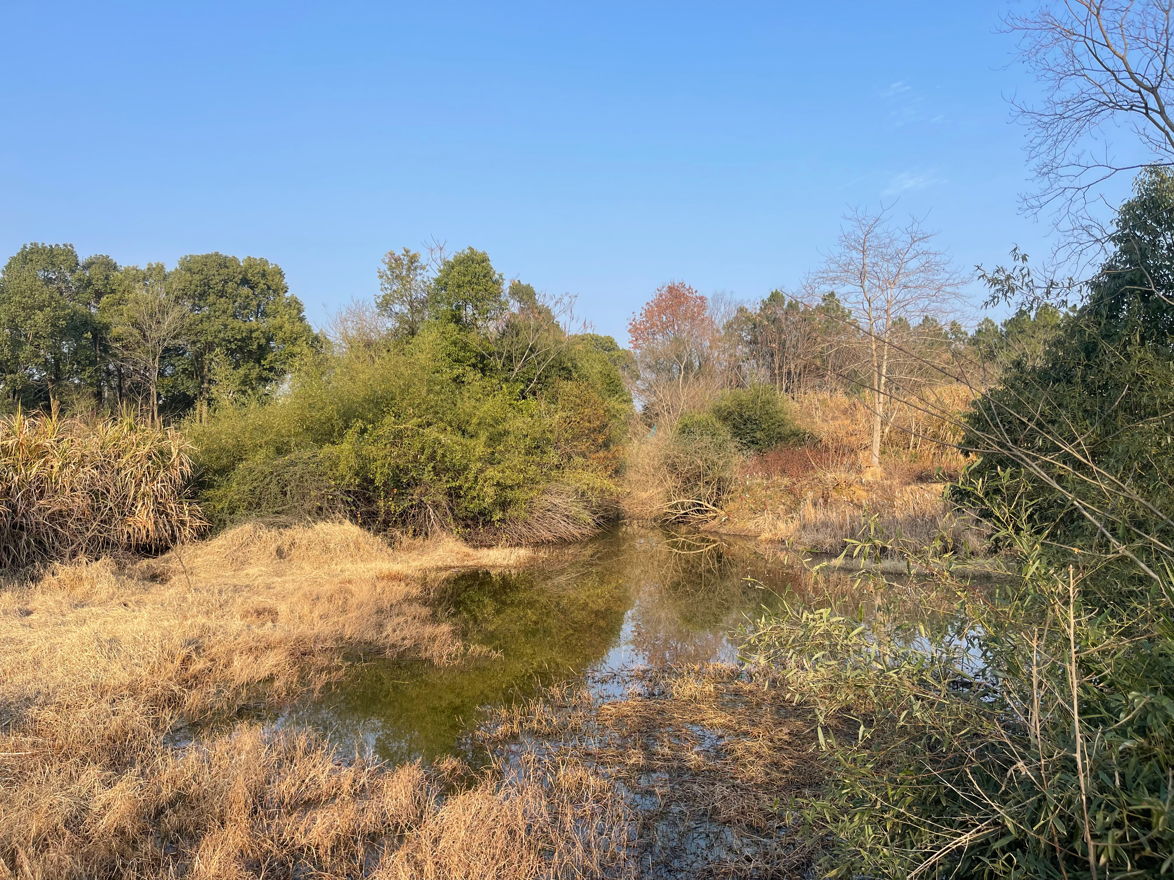 儿时的故乡 渐行渐远光阴的故事 武穴