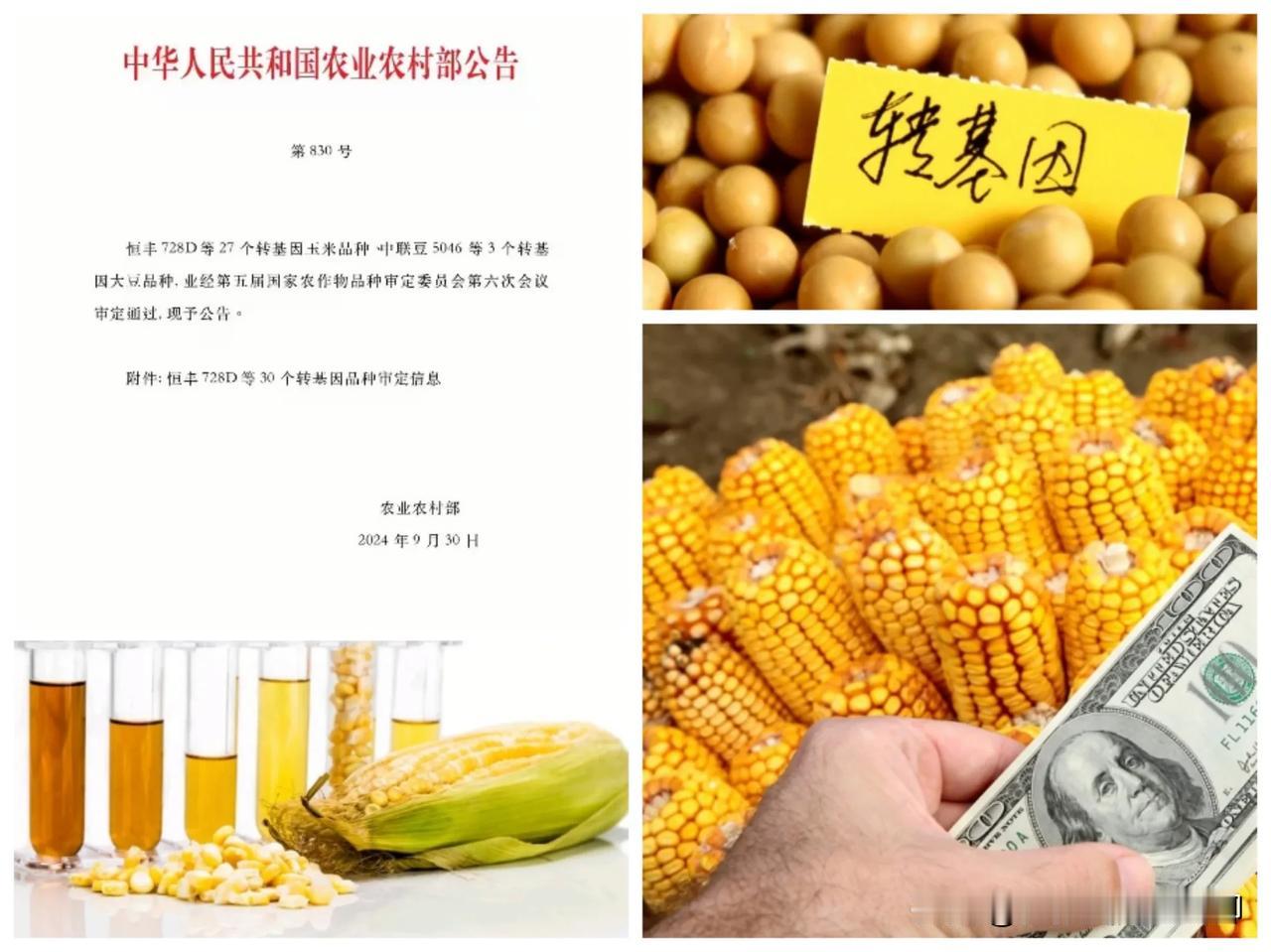 转基因食品到底安全吗？转基因食品到底好吗？为什么还有那么多专家、学者支持转基因食