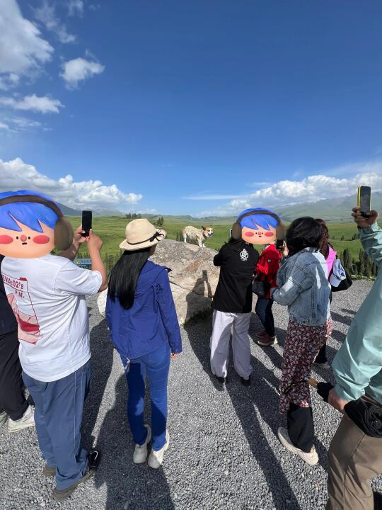 在孟克特体验女明星的待遇