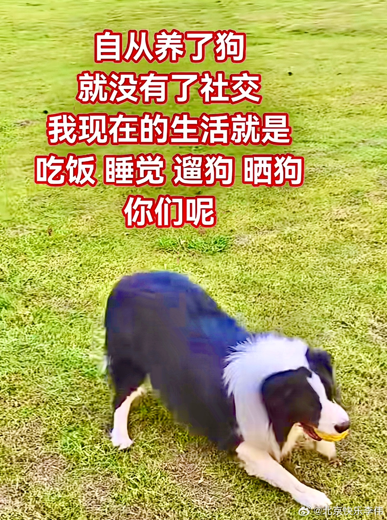 中国房子空置率最高的大城市：1．贵阳，空置率46.2%。2.南昌，空置率43.1