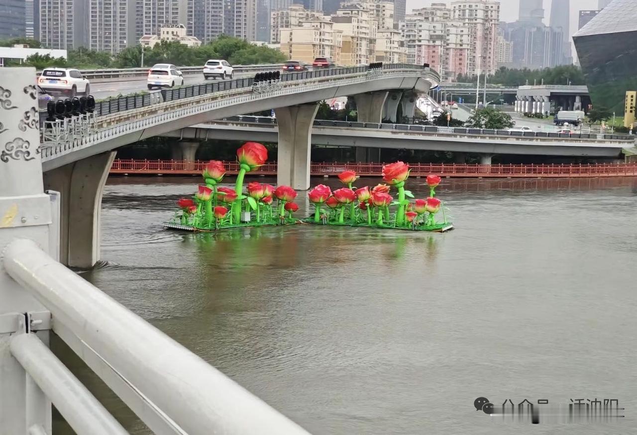 沈阳全网爆笑追花！浑河暴雨冲出“流浪玫瑰”，全城接力盯梢太浪漫！[灵光一闪]
 