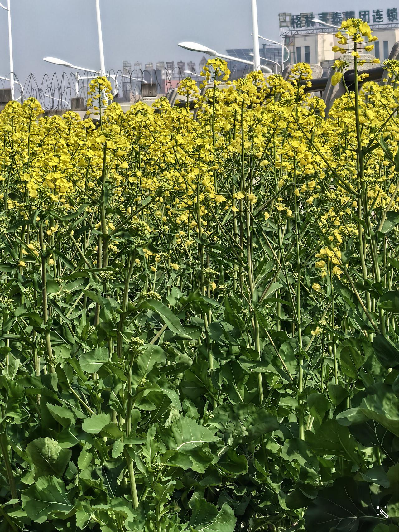 1. 经历重大挫折与变故 
这是促成大彻大悟最常见的外部因素。当一个人遭遇重大打