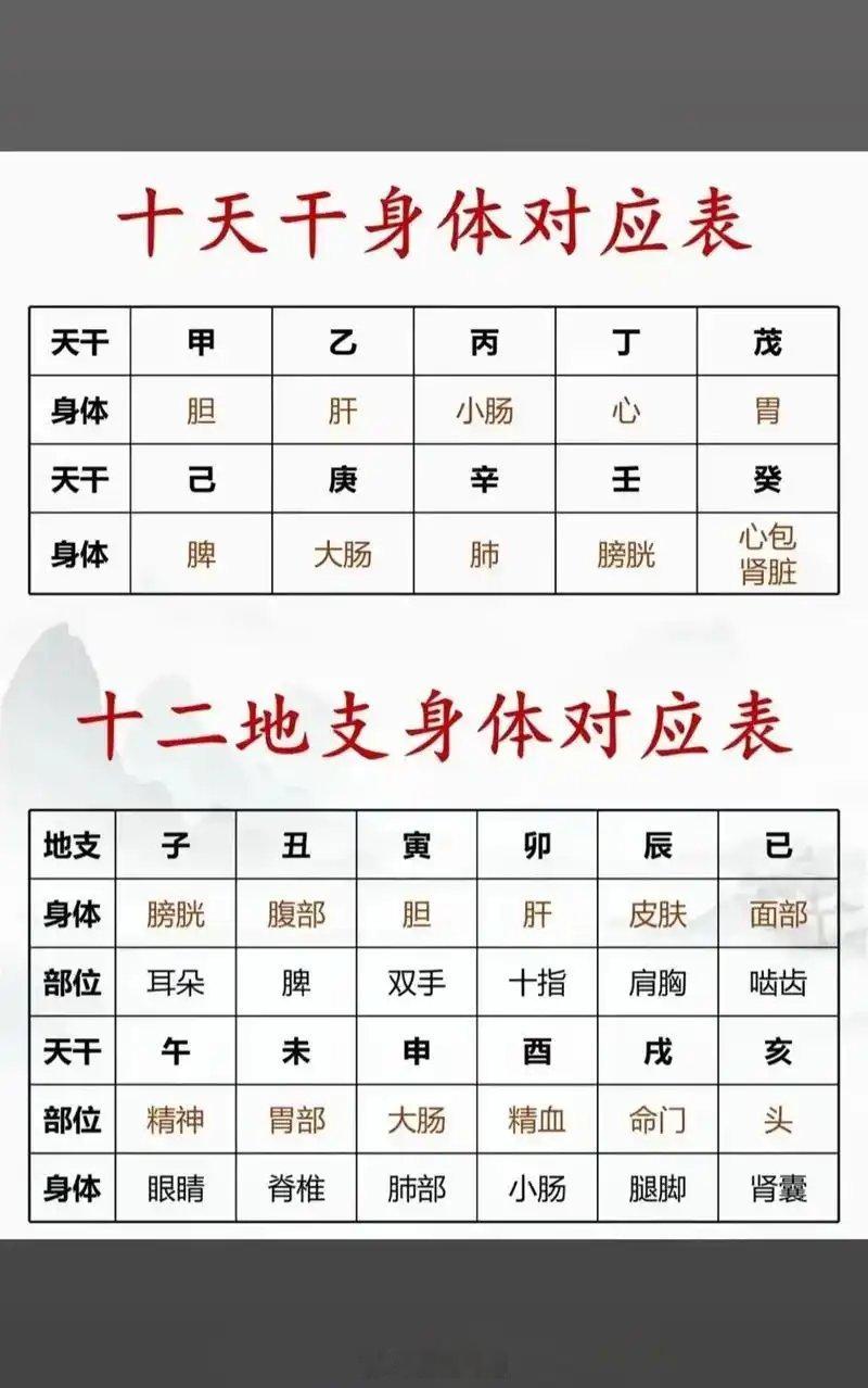 天干地支对应身体紫微斗数