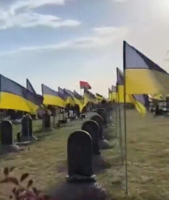 红军城战场清理开始！俄军遗体回收队发现惊人比例，乌军阵亡者中外国面孔超三成，个别