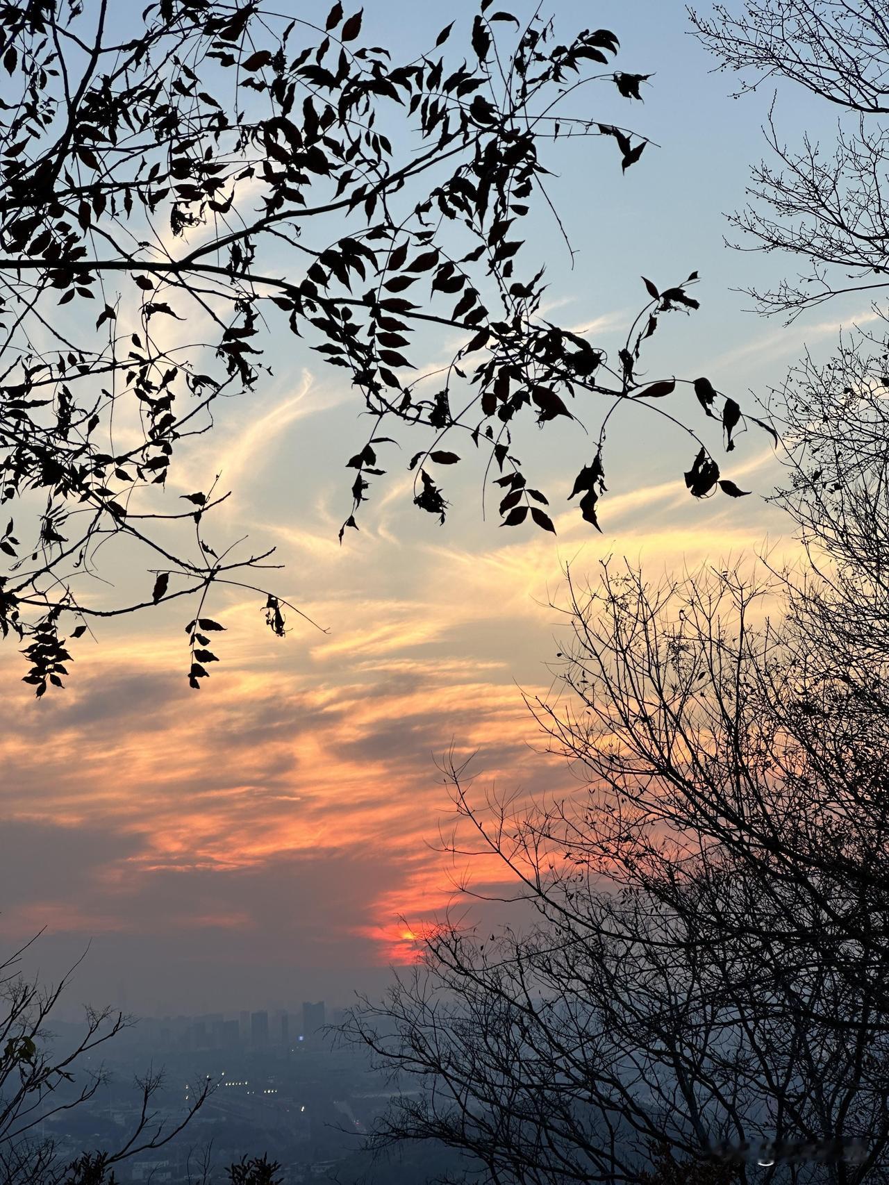 虽然只是个写头条的小小白，但多多少少写出了一些经验。
第一，就是追着热点写，有热