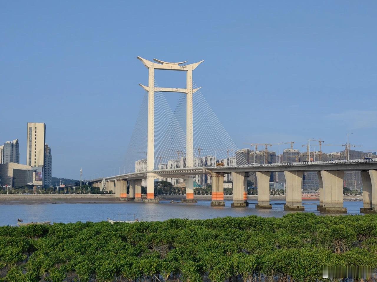 #福建省唯一入选案例#近日自然资源部发布“2024年海洋生态修护典型案例”，对全
