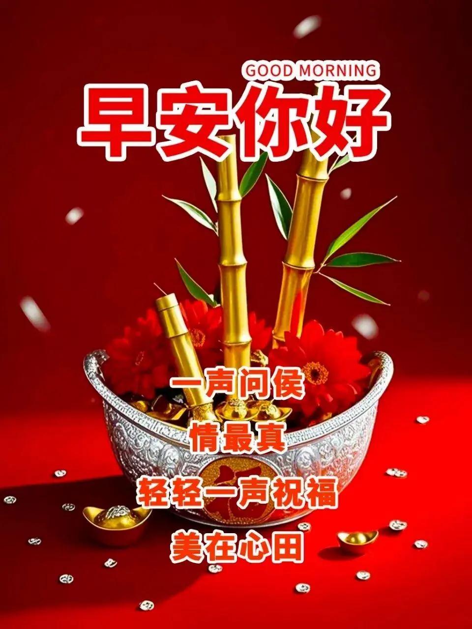 周日早安☀️
清晨的风很柔，清晨的光很暖，
新的一天，不慌不忙，自在舒心。
 