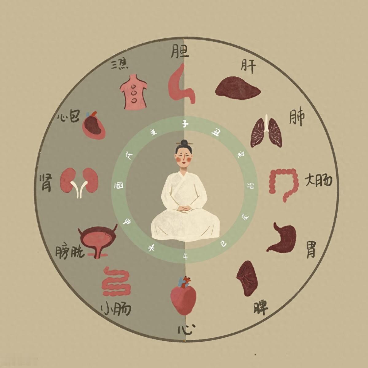 上焦如羽、中焦如沤、下焦如渎！读懂三焦本质，一招通调三焦、安稳五脏
大家好，我是