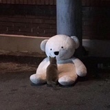 赵梦读读音乐