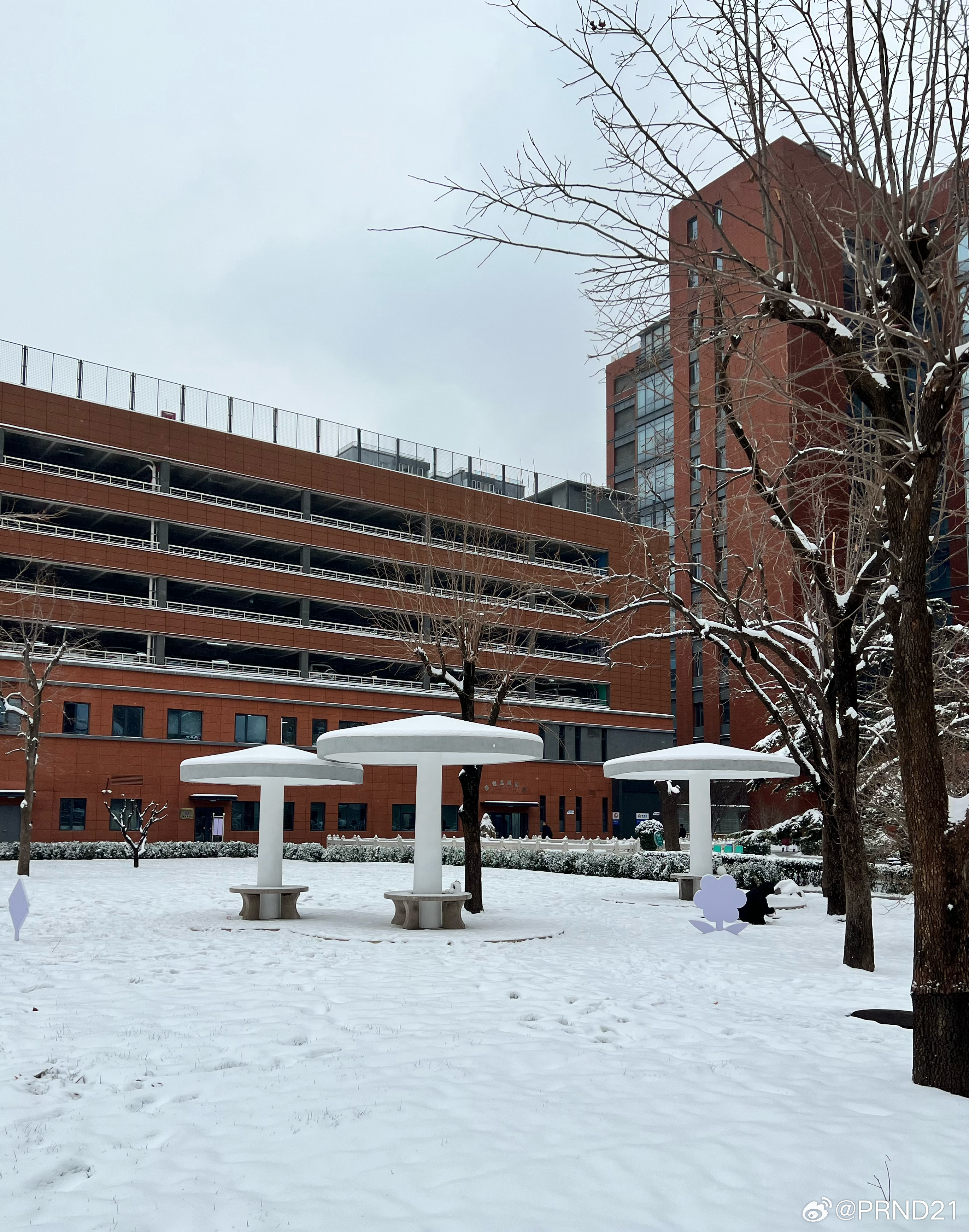 一点雪天的瞎拍（雪呢[哆啦A梦害怕]？？？）…… ​​​