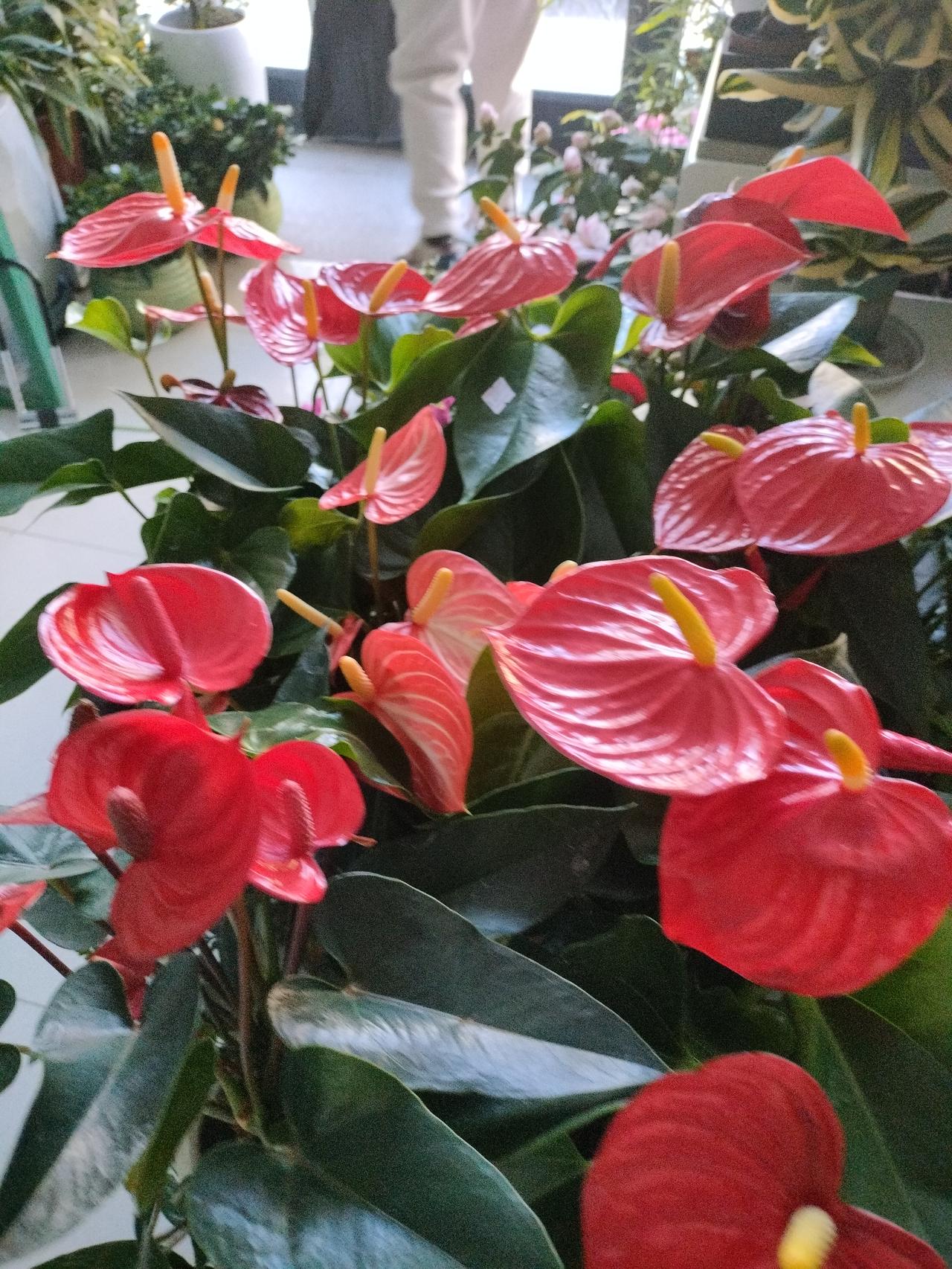 燕郊地铁22号线（平谷线）票价正式官宣京津冀同网同价不搞特殊。
盼了好几年，终于