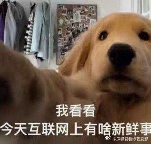 #跨年的氛围感是科目三给的##李斯丹妮跨年表演科目三#真的忍不住感叹，李斯丹妮也