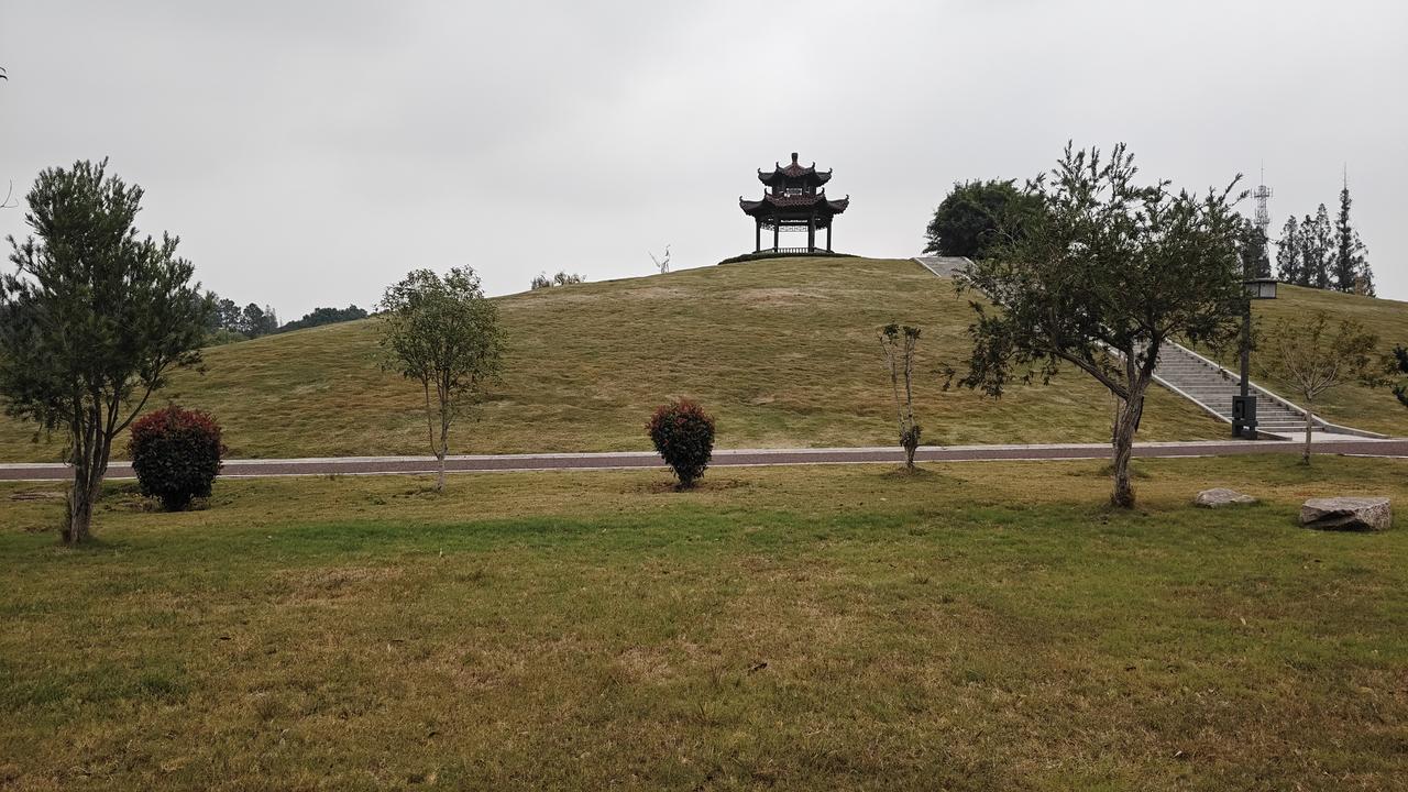 参加，能发现好多值得探讨的事儿。比如有个事件里的“胖猫”，它的悲剧暴露出情感教育