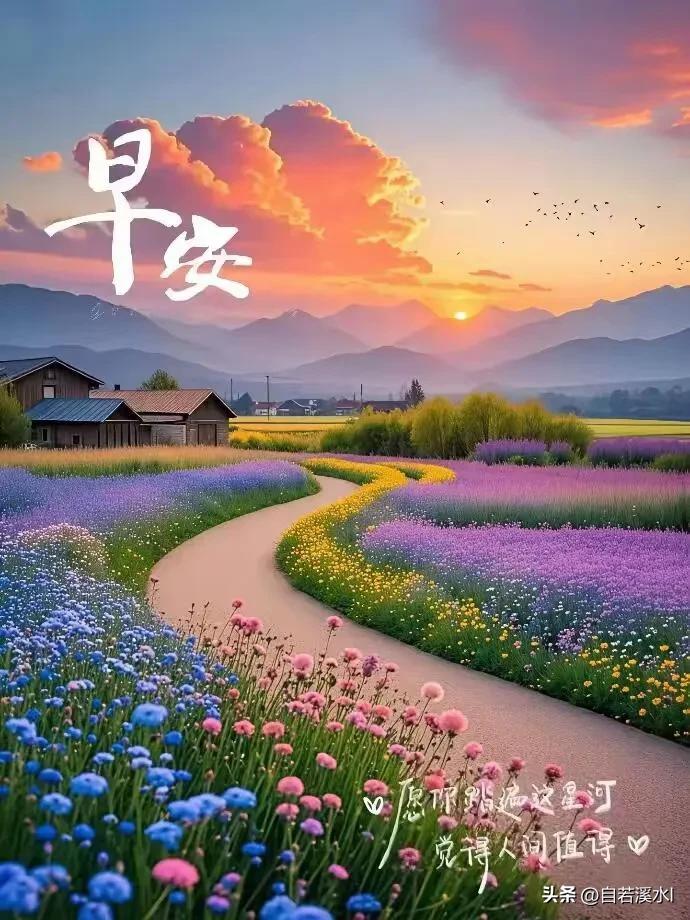 朝晖漫山野，繁花伴晨光，早安✨愿遍历星河，觉得人间值得