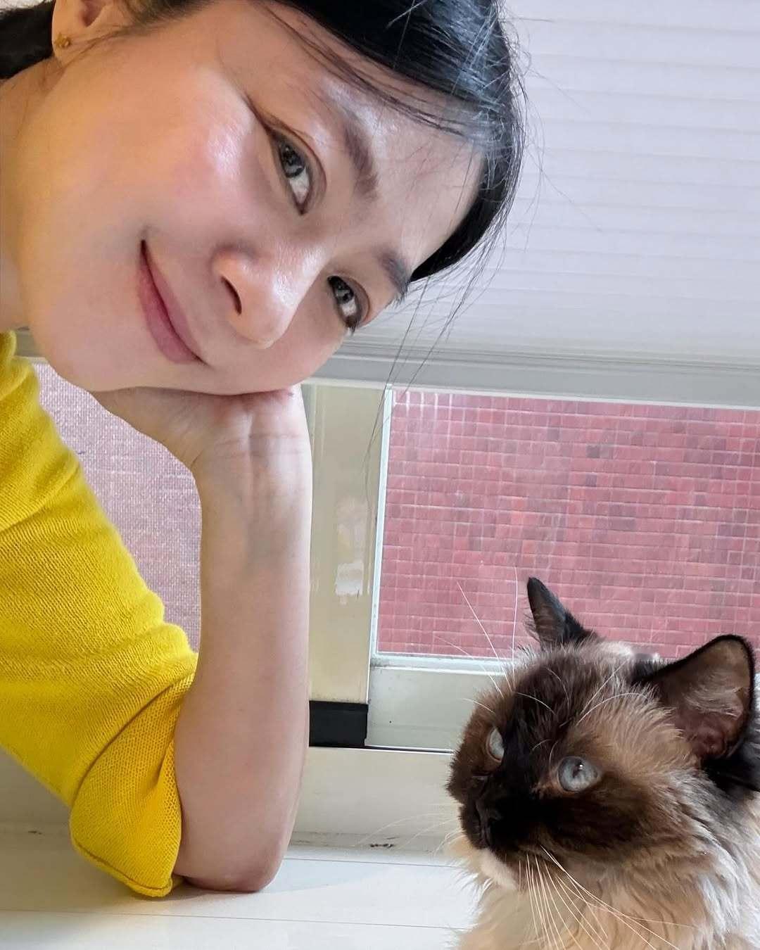 陈绮贞和猫猫拜年了